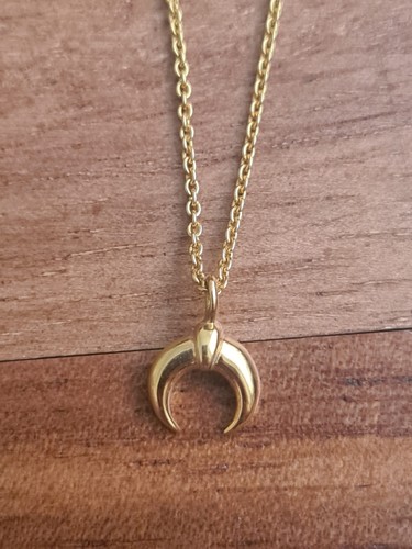 Tiny horn necklace - horn,