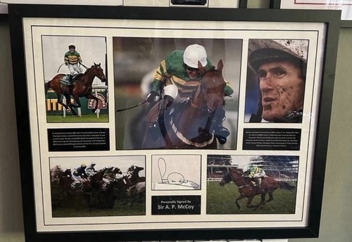Mccoy signed framed - mccoy, horse