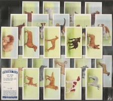 PRIORY (TEA)-FULL SET- DOGS