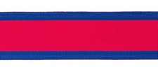 Waterloo medal ribbon - medal,