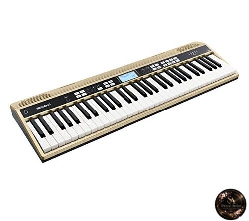 Roland justy 100 - roland, harmony