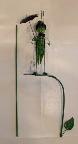 Large grasshopper with - large,