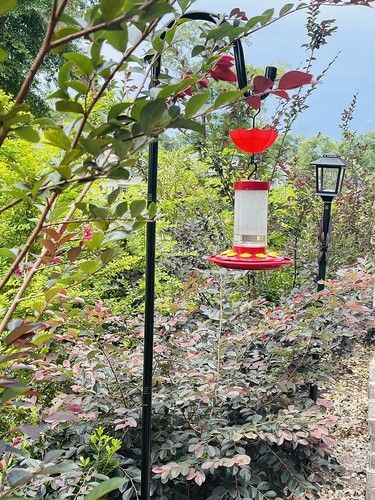 235 garden bird feeders - garden,