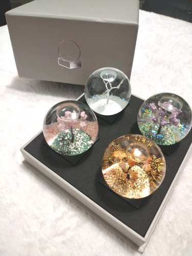 Four seasons winter spring - winter,