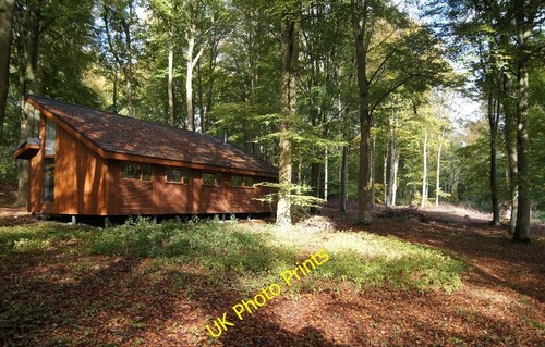 Photo 6x4 forest retreat - forest,
