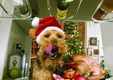 Christmas Cards -  Welsh