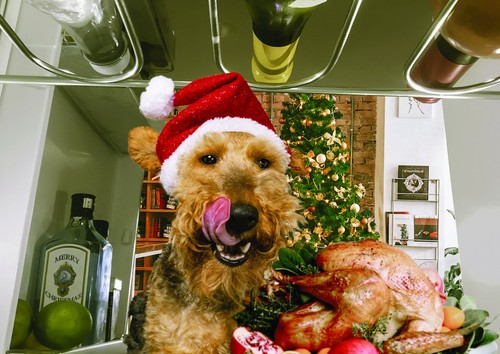Christmas cards welsh - -,