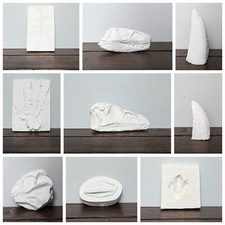 Paint Your Own Dinosaur