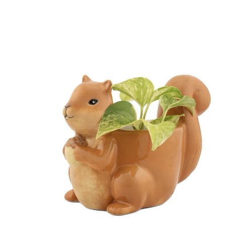 Sass belle ceramic squirrel - sass,