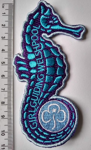 Girlguiding welshpool seahorse - girlguiding,