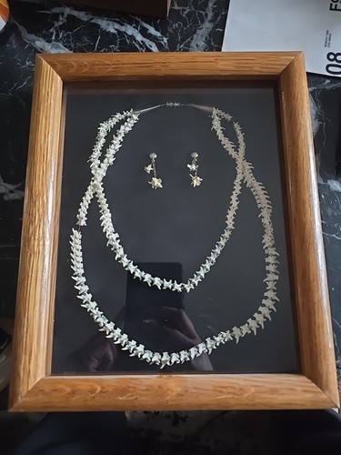Vintage rattlesnake and - vintage,