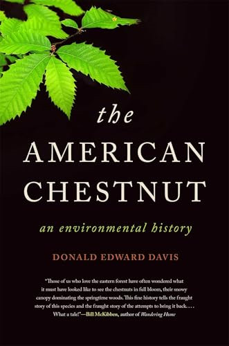 The american chestnut an - american, chestnut: