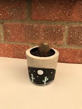 Hand Crafted and Hand Painted Concrete Pot for Small Plant and Succulents
