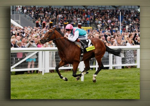 Frankel framed canvas poster - framed,