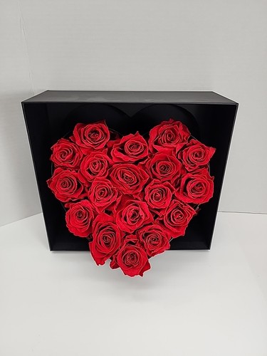 Forever roses luxury black - forever,