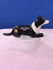 Border Collie Sheepdog in