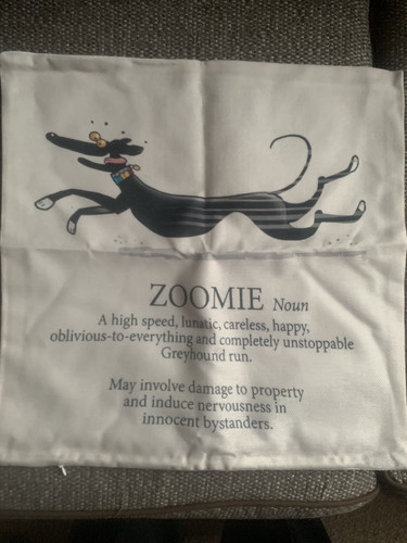 Greyhound cushion cover - greyhound,
