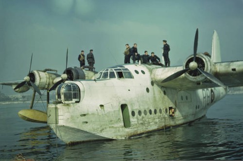 The raf short - the,