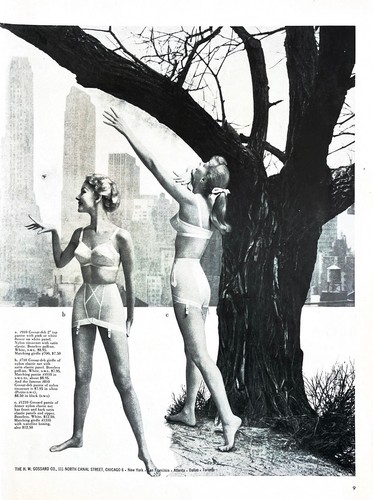 1955 gossard bra lingerie - gossard,