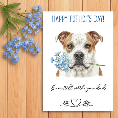 American bulldog father - american,