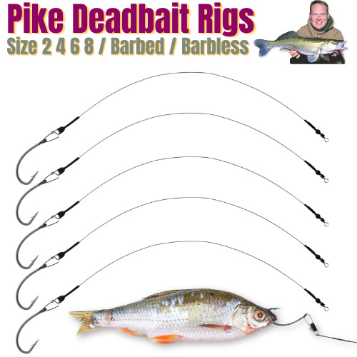 Pike zander deadbait live - pike,