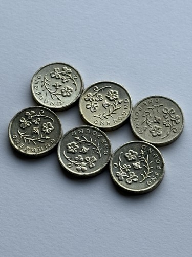 2014 northern ireland - £1,