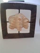 Large Sea Shell Coral Display