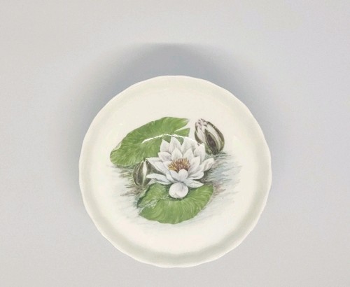 Vintage 50s aynsley - 50s,