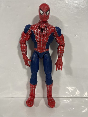 Spider man the - man,