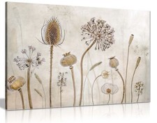 Dried Flowers Botanical Garden
