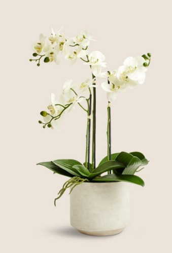 Moss sweetpea artificial - moss,