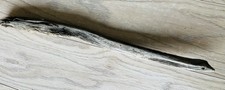 55cm DRIFTWOOD BRANCH Large