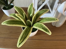 Handmade yucca from pipe - handmade,