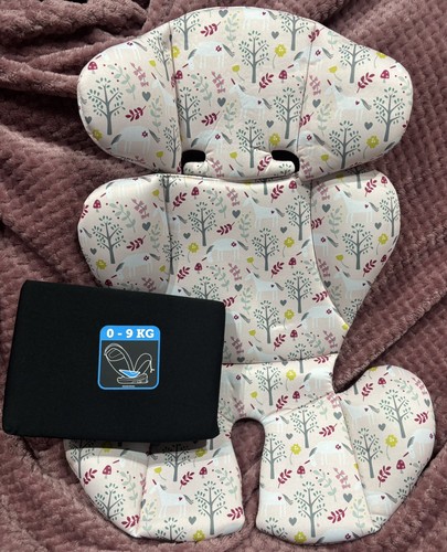 Cosatto all car seat - in,