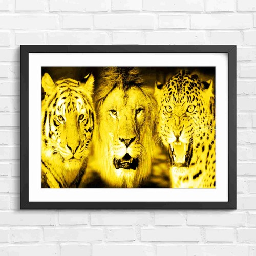 Three majestic big cats - three,