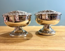 Beautiful Matching Pair Ianthe