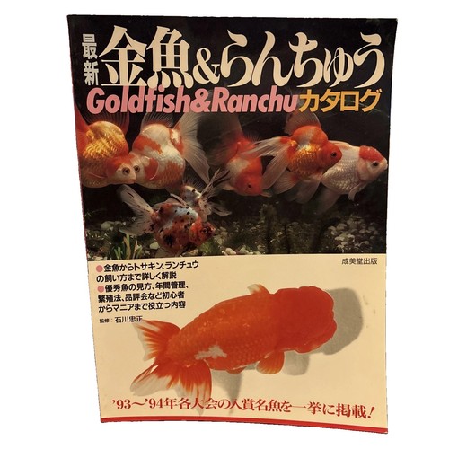 Japanese goldfish kingyo - kingyo, &