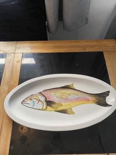 Large rainbow trout fish - large,