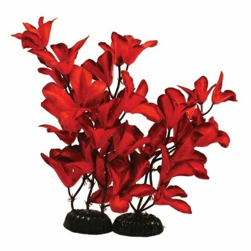 Aquarium artificial water - aquarium,