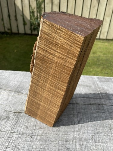 Laburnum log 8kg - log, woodturning