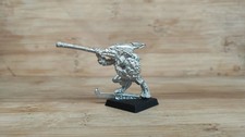 Skink champion chief S