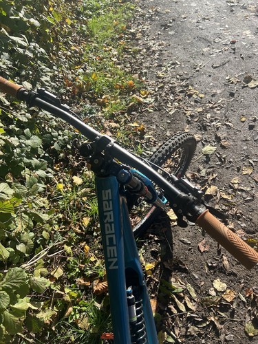 Saracen myst pro - saracen,