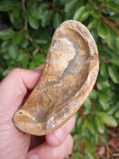 Fossilized Whale Ear Bone