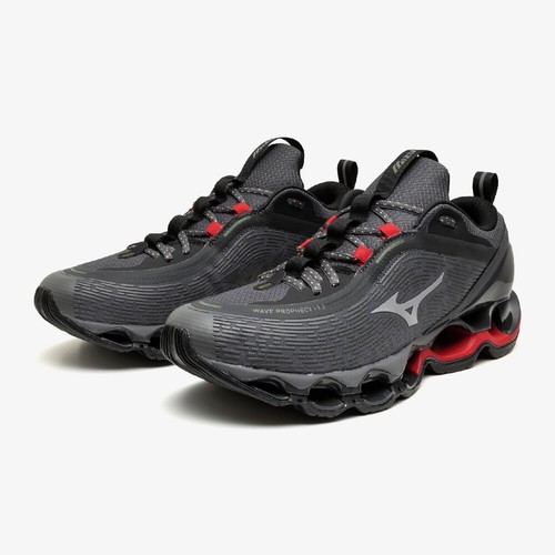 Mizuno wave prophecy - wave, 13.2