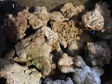 Sump rubble marine - sump, cured