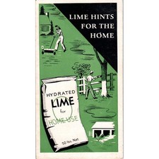 Vintage Info Brochure Lime