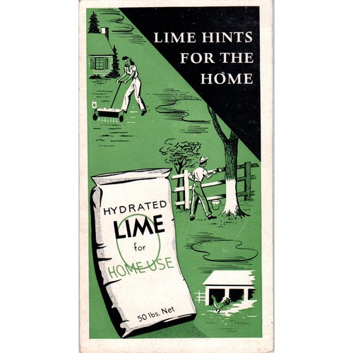 Vintage info brochure lime - brochure,