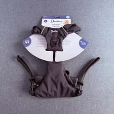 Mikki Doodles Coat-Kind Dog