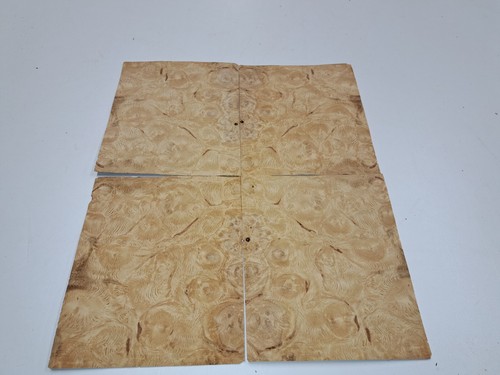Burr oak wood veneer 4 - burr,