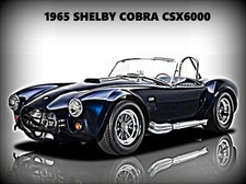 1965 Shelby Cobra CSX6000 New